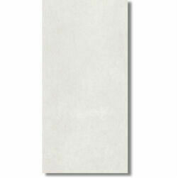 Color bone 60x120,SIENAS FLĪZES