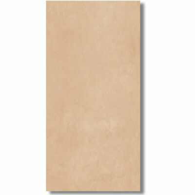 Color poudre 60x120,SIENAS FLĪZES