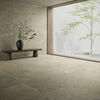 Montagne 2669 RC20 taupe 60x60 R10B,GRĪDAS FLĪZES