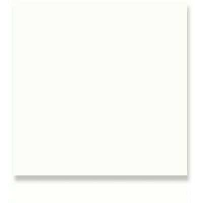RAL white 20x20,GRĪDAS FLĪZES