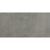 Sepia modern graphite 30x60,GRĪDAS FLĪZES